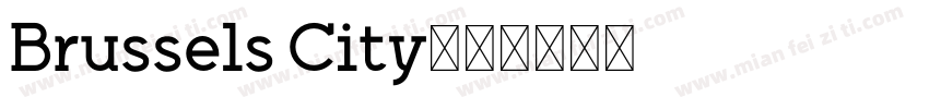 Brussels City字体转换